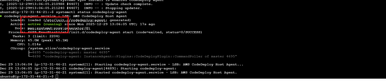 이미지 내 그림